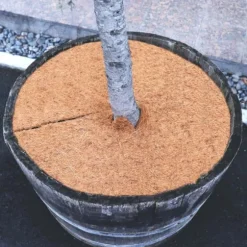 10 Coconut Mulching-skiver 30 cm Kokosfibermåtte Kokosfiber Plantebeskyttelsesmåtte Kokosnød