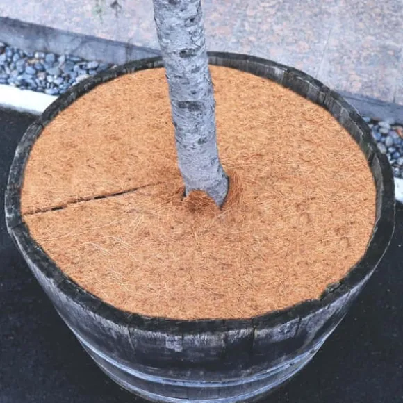3 Coconut Mulching-skiver 60 cm Kokosfibermåtte Kokosfiber Plantebeskyttelsesmåtte Kokosnød