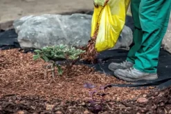 102 m² Havefleece Ukrudtsbekæmpelsesstof Ukrudtsforing Mulchforing Mulchstof 150 g 1,2 m vægt.