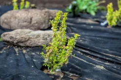 102 m² Havefleece Ukrudtsbekæmpelsesstof Ukrudtsforing Mulchforing Mulchstof 150 g 1,2 m vægt.