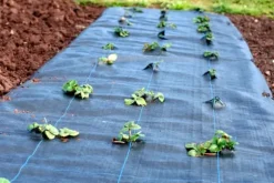 100 m² Ukrudtsbekæmpelsesmembran Ukrudtsforing Mulch liner 100 g 1,65 m bred