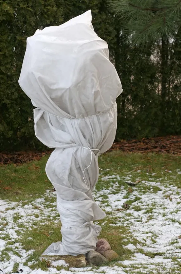 10 m² Vinterbeskyttelsesfleece Isolerende havefleece Frostbeskyttelse 80 g 1,6 m bred