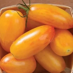 100 st läckra tomatfrön Produktiva grönsaksträdgårdsfrön för plantering utomhus
