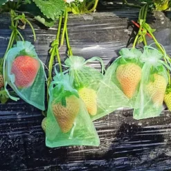 30 stk. 20*30 cm frugtposer med snøre, genanvendelige haveposer, frugtposer, velegnede til frugttræer, grøntsager og blomster