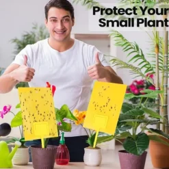 20 stk. 20*10 cm myggefælder, dobbeltsidede frugtfluefælder til indendørs og udendørs planter, gul