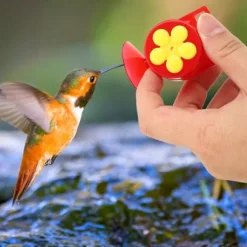 2 stk. Have Håndholdt Plast Kolibri Feeder Udendørs Fuglefodringsenhed Dekoration