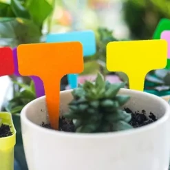 50 stk. orange plastik T-formede havemærker til planteskoler, havedekorationer, urtepotter, plantemærker