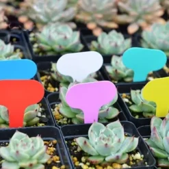 50 stk. orange plastik T-formede havemærker til planteskoler, havedekorationer, urtepotter, plantemærker