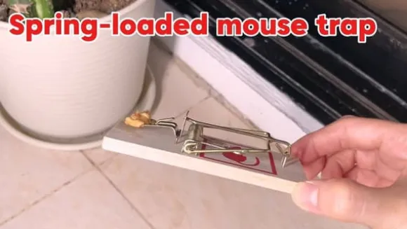 4 Wooden Mouse Traps Traditional Mice Rodent Pest Control Trap Reusable Durable