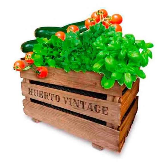 Agreen Urban Have Vintage Eco Gylden