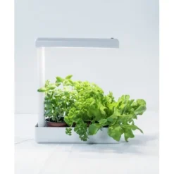 Airam Herby plante lampe, 10W/840, 650 lm