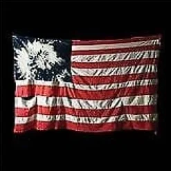 Akron/Family : Set 'Em Wild, Set 'Em Free CD (2009)