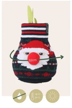 Amaryllis - Sæt med 3 - Hippeastrum 'Xmas Sweater Mix' - Kugle