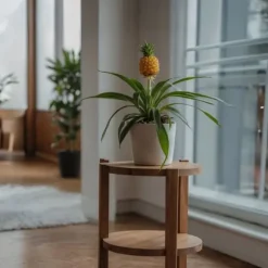 Ananasplante - Sæt med 2 - Ananas comosus 'Mi Amigo' - Højde 35-45cm - ⌀12cm