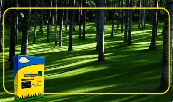 ARPON PARKGRÆS 1 KG