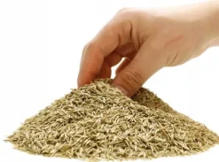 ARPON UNIVERSAL GRÆS PREMIUM 5KG