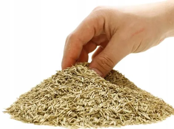 ARPON UNIVERSAL GRÆS PREMIUM 5KG