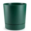 Azalea avocadogryde med underkop 22 cm