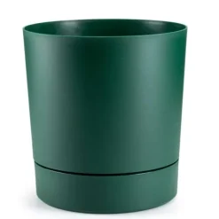 Azalea avocadogryde med underkop 22 cm