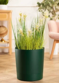 Azalea avocadogryde med underkop 22 cm