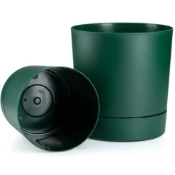 Azalea avocadogryde med underkop 22 cm