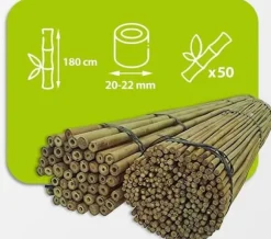Bambusstænger 180 cm 20/22 mm 50 stk/