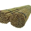 Bambusstænger 105 cm 8/10 mm /100 stk/