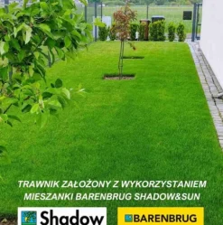 Barenbrug Græs SHADOW Shadow & Sun 1kg BELAGTE FRØ SUN - SHADOW