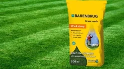 Barenbrug græs VANDBESPARENDE 5 kg TIL TØRRE OMRÅDER OG BELAGT FRØ