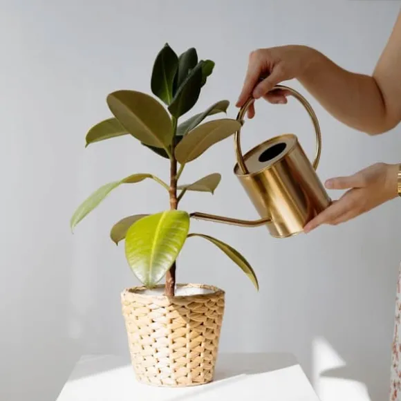 BIOHUMUS GØDNING 0,5L UNIVERSAL AGRECOL