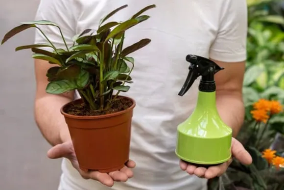 BIOHUMUS GØDNING 0,5L UNIVERSAL AGRECOL