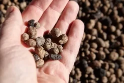 BIOVITA GARDENING EKSPANDERET LER ideel til dræning 8-16MM 2L