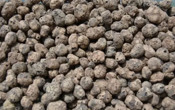 BIOVITA GARDENING EKSPANDERET DRUEVÆSKE ideel til dræning 8-16MM 5L