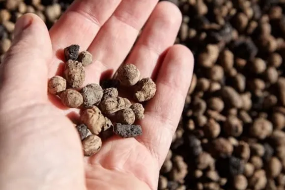 BIOVITA GARDENING EKSPANDERET DRUEVÆSKE ideel til dræning 8-16MM 5L