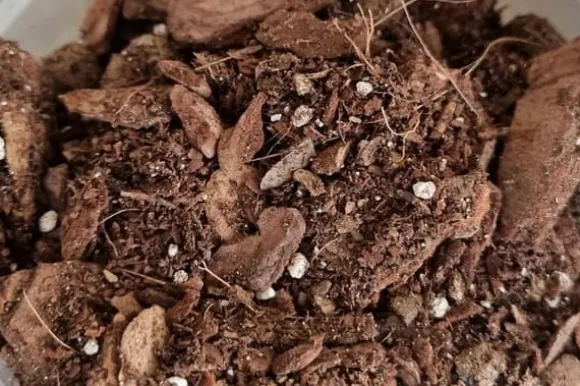 BIOVITA ORKIDÉSUBSTRAT 3L