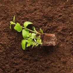BIOVITA SURTØRV til blåbær og syreholdige planter pH 3,5-4,5 80L