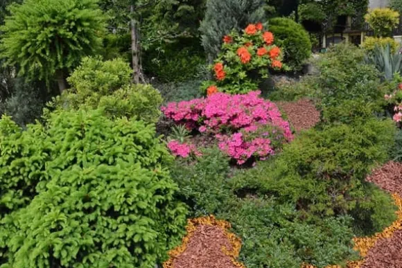 BIOVITA TRÆFLIS 50 L APPELSIN