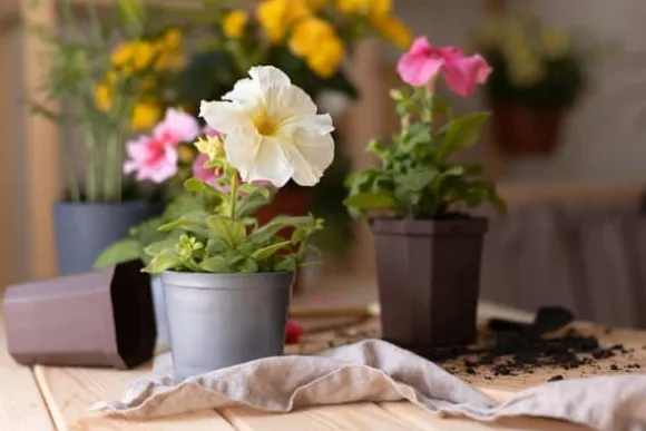 BIOVITA UNIVERSAL BLOMSTERJORD 10 LITER MED GØDNING
