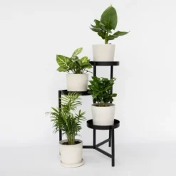 Blanding af stueplanter - Sæt med 4 - Højde 25-40cm - ⌀12cm