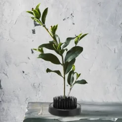 Blomsterarrangeringsværktøj Sort Rund Ikebana Kenzan Plumbum Nåle Blomsternålholder (46 mm)
