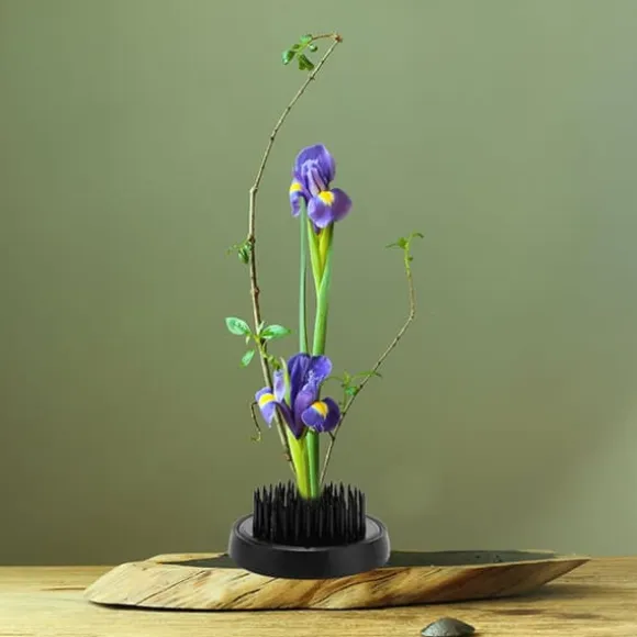 Blomsterarrangeringsværktøj Sort Rund Ikebana Kenzan Plumbum Nåle Blomsternålholder (46 mm)