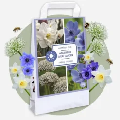 Blomsterløg - 35 stk - Sunny Garden Box - Anemone, Allium, Påskelilje