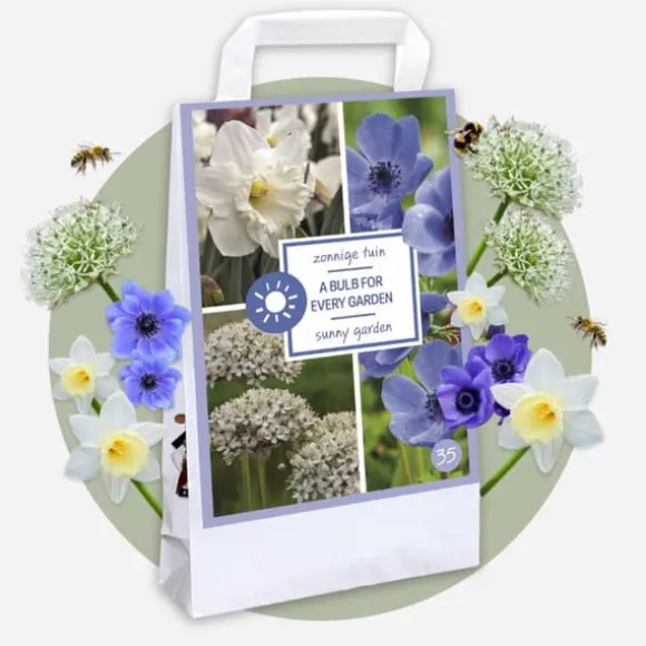 Blomsterløg - 35 stk - Sunny Garden Box - Anemone, Allium, Påskelilje