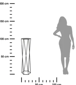 Blomsterstander til planter sort 100 cm