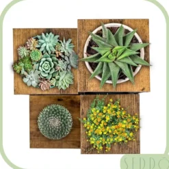 Blomsterstativ, hylde til blomster, planter, potter, fritstående, 4 hylder, loft