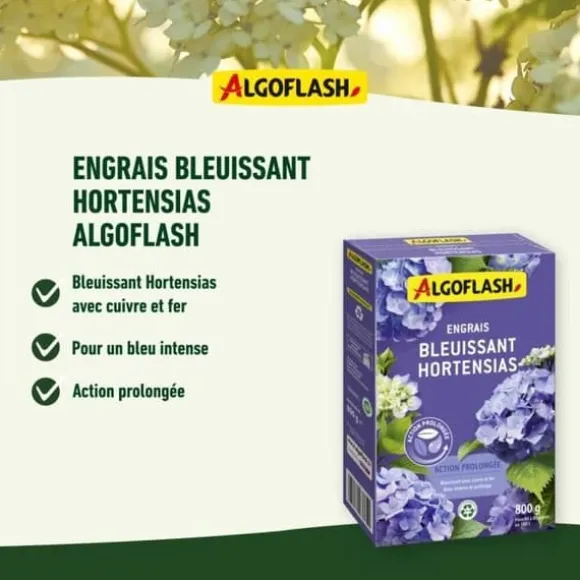 Blue Hydensias Gödselmedel - Algoflash Naturasol Naturasol - Utökad åtgärd 800g