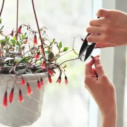 Bonsai Beskæresaks Mini Bonsaisaks Små Haveskærere til Knopper og Blade