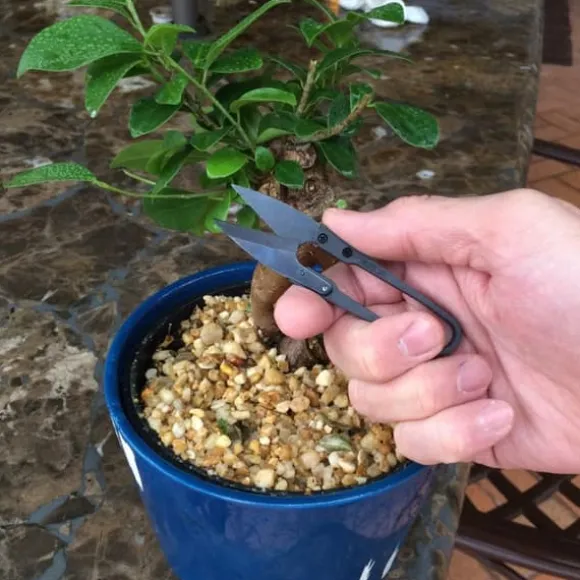 Bonsai Beskæresaks Mini Bonsaisaks Små Haveskærere til Knopper og Blade
