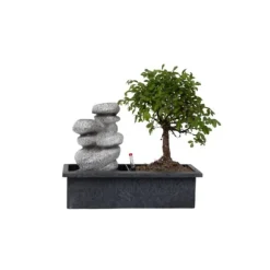 Bonsai træ med vandfald - Bonsai - Højde 25-35cm - ⌀29cm