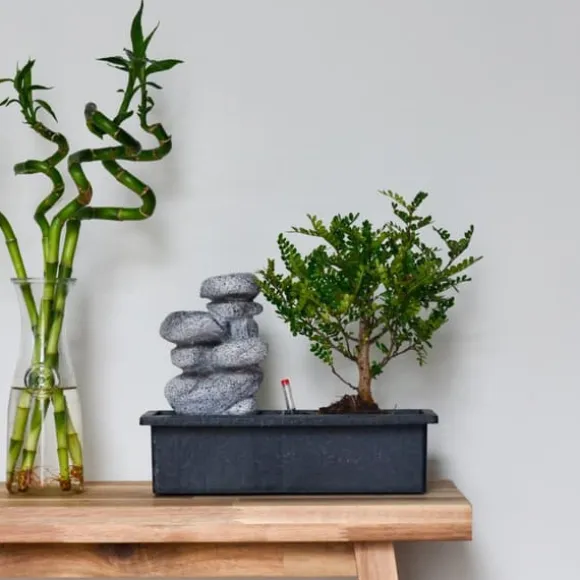 Bonsai træ med vandfald - Bonsai - Højde 25-35cm - ⌀29cm